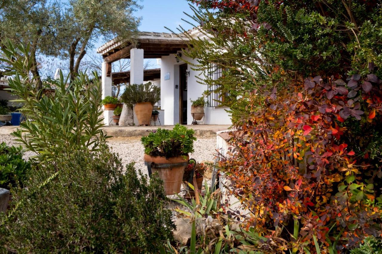 Refugio Andaluz Con Piscina Entre Olivos Villanueva de Tapia Exterior foto