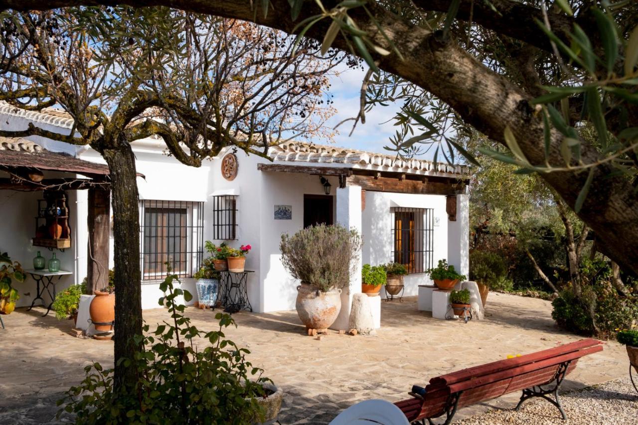 Refugio Andaluz Con Piscina Entre Olivos Villanueva de Tapia Exterior foto