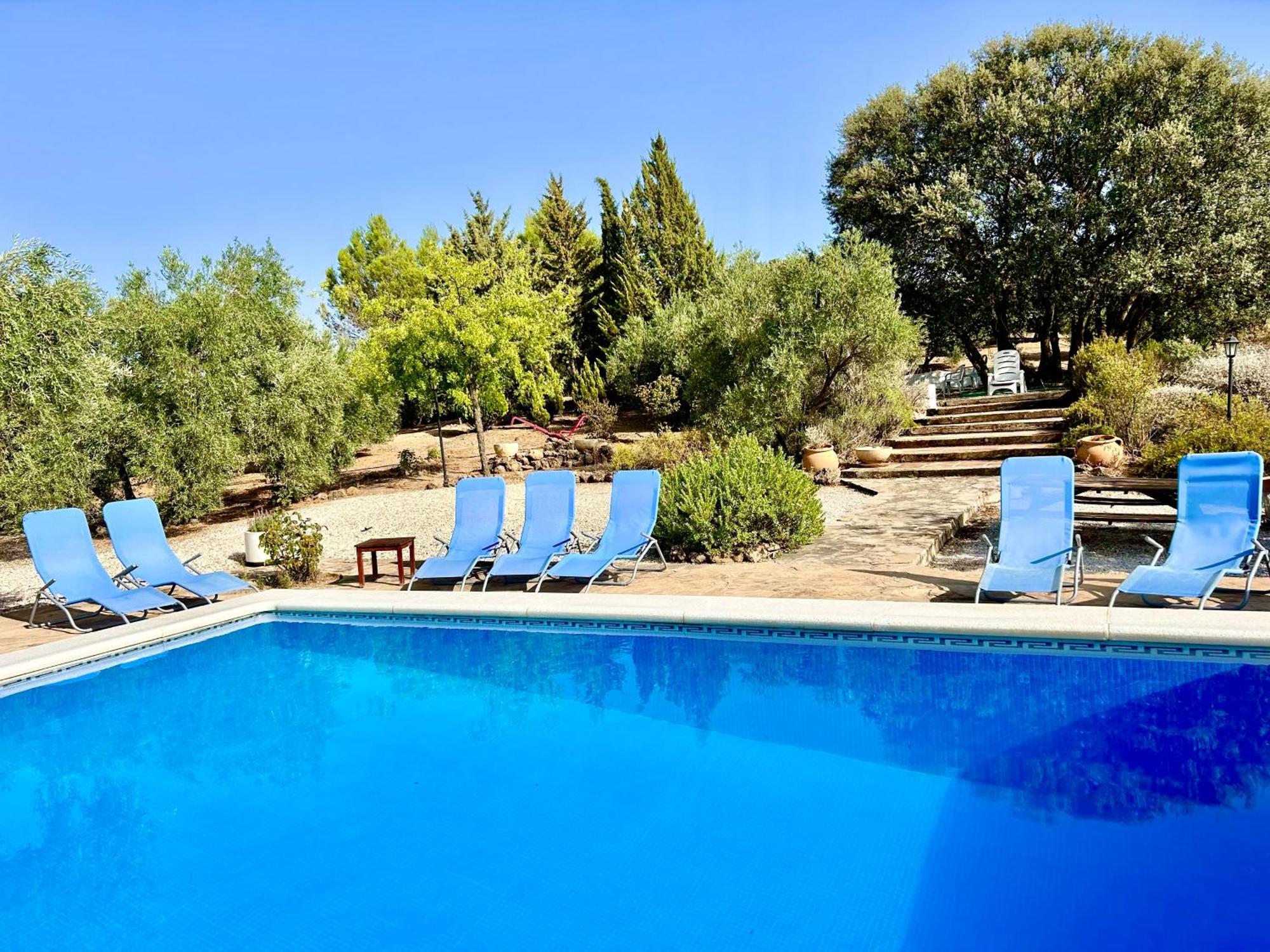 Refugio Andaluz Con Piscina Entre Olivos Villanueva de Tapia Exterior foto
